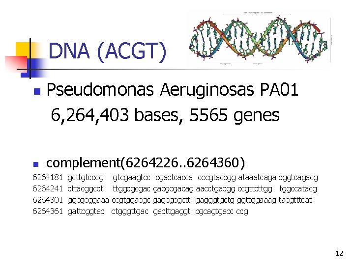 DNA (ACGT) n n Pseudomonas Aeruginosas PA 01 6, 264, 403 bases, 5565 genes