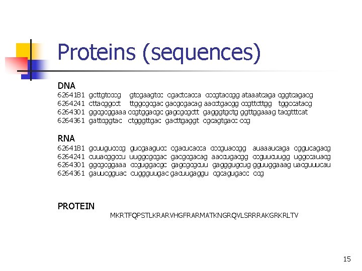 Proteins (sequences) DNA 6264181 gcttgtcccg gtcgaagtcc cgactcacca cccgtaccgg ataaatcaga cggtcagacg 6264241 cttacggcct ttggcgcgac gacgcgacag