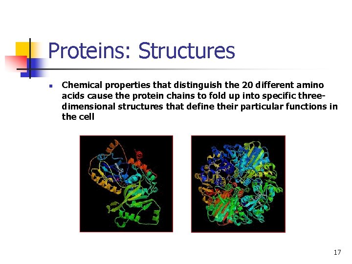 Proteins: Structures n Chemical properties that distinguish the 20 different amino acids cause the