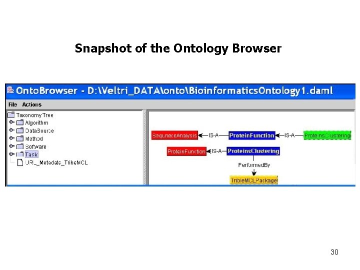 Snapshot of the Ontology Browser 30 