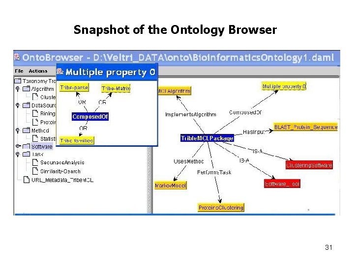 Snapshot of the Ontology Browser 31 