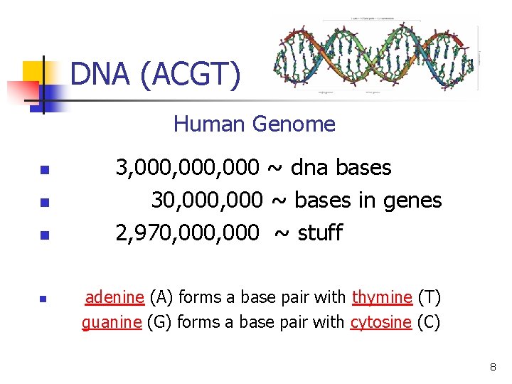 DNA (ACGT) Human Genome n n n 3, 000, 000 ~ dna bases 30,