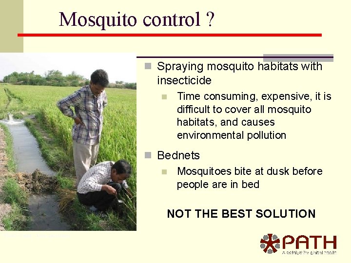 Mosquito control ? n Spraying mosquito habitats with insecticide n Time consuming, expensive, it