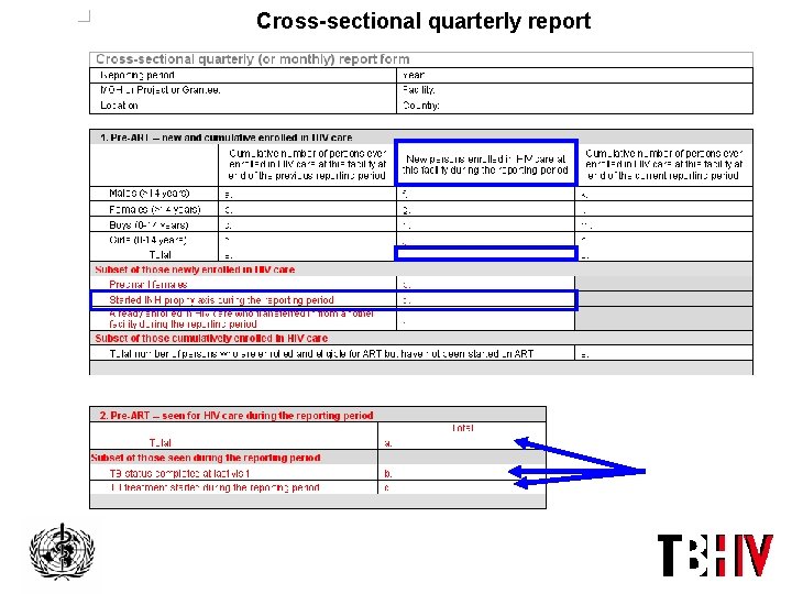 Cross-sectional quarterly report 