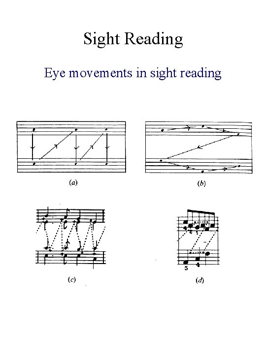Sight Reading Eye movements in sight reading 