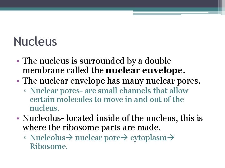 Nucleus • The nucleus is surrounded by a double membrane called the nuclear envelope. Nucleus • The nucleus is surrounded by a double membrane called the nuclear envelope.