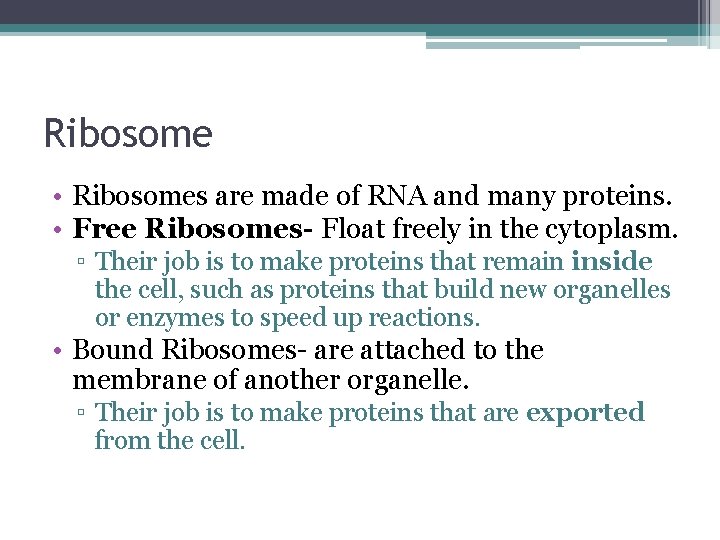 Ribosome • Ribosomes are made of RNA and many proteins. • Free Ribosomes- Float Ribosome • Ribosomes are made of RNA and many proteins. • Free Ribosomes- Float