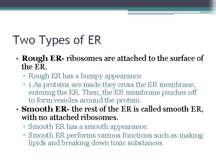 Two Types of ER • Rough ER- ribosomes are attached to the surface of Two Types of ER • Rough ER- ribosomes are attached to the surface of