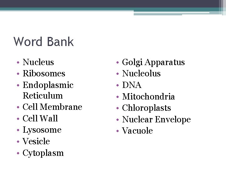 Word Bank • Nucleus • Ribosomes • Endoplasmic Reticulum • Cell Membrane • Cell Word Bank • Nucleus • Ribosomes • Endoplasmic Reticulum • Cell Membrane • Cell