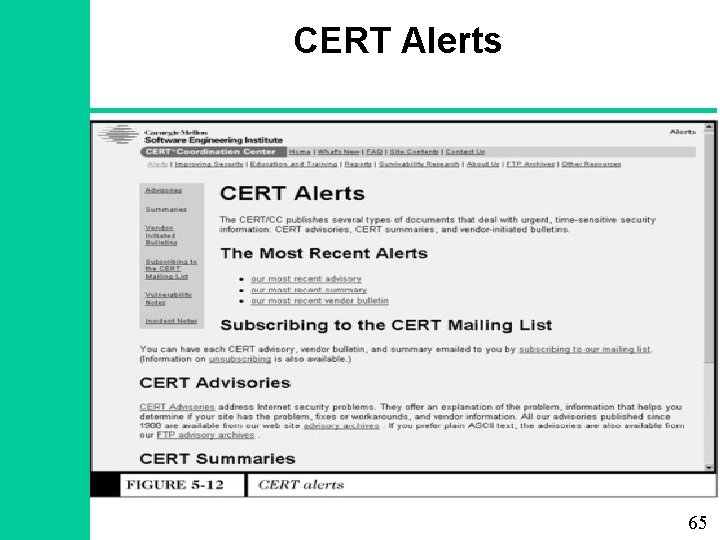CERT Alerts 65 
