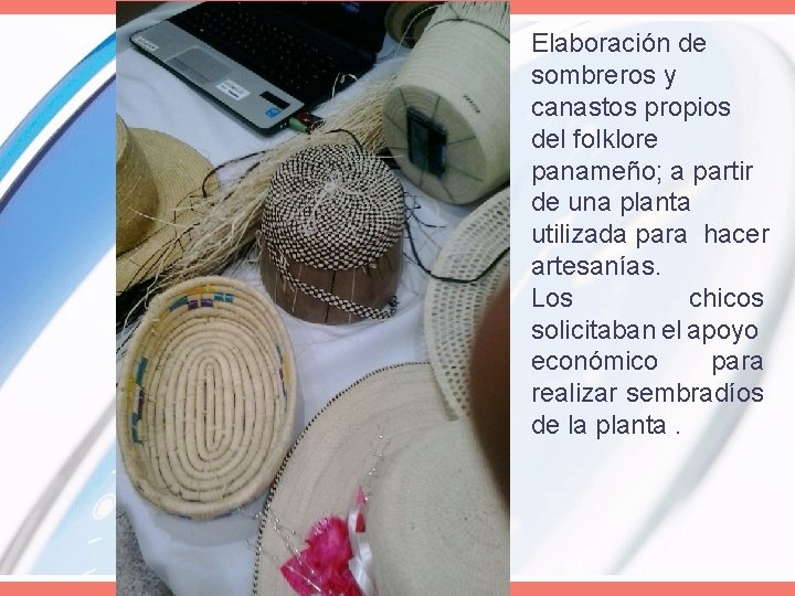 Elaboración de sombreros y canastos propios del folklore panameño; a partir de una planta