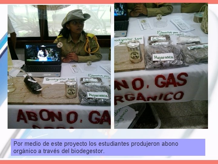 Por medio de este proyecto los estudiantes produjeron abono orgánico a través del biodegestor.