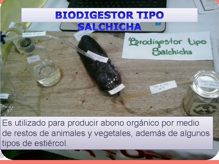 Es utilizado para producir abono orgánico por medio de restos de animales y vegetales,
