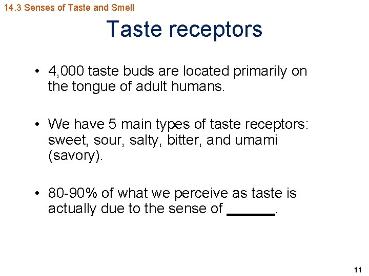 14. 3 Senses of Taste and Smell Taste receptors • 4, 000 taste buds