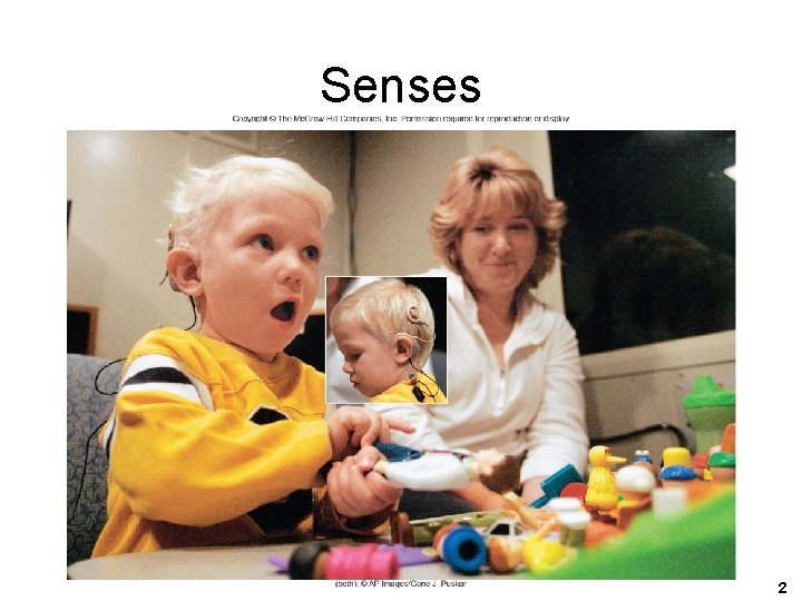 Senses 2 