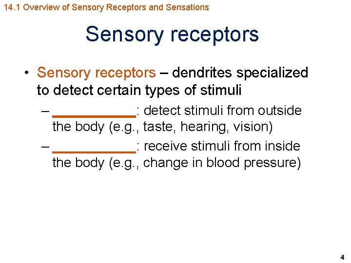 14. 1 Overview of Sensory Receptors and Sensations Sensory receptors • Sensory receptors –