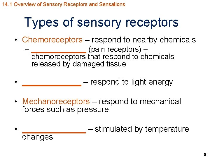 14. 1 Overview of Sensory Receptors and Sensations Types of sensory receptors • Chemoreceptors