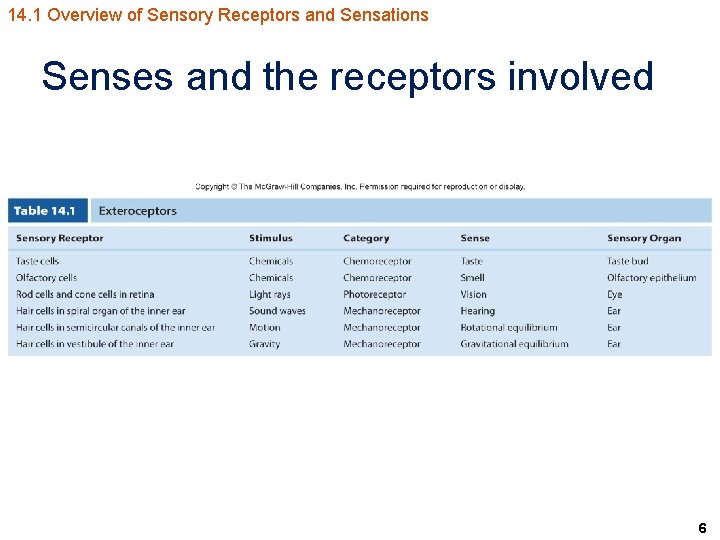 14. 1 Overview of Sensory Receptors and Sensations Senses and the receptors involved 6