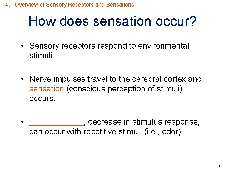 14. 1 Overview of Sensory Receptors and Sensations How does sensation occur? • Sensory