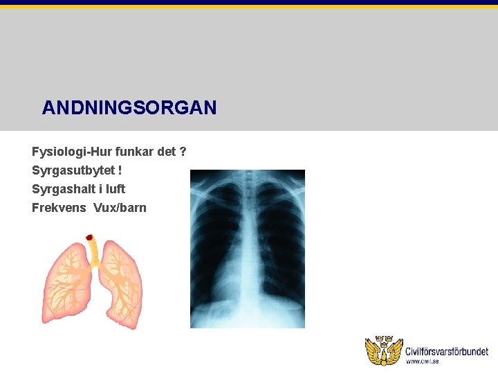 ANDNINGSORGAN Fysiologi-Hur funkar det ? Syrgasutbytet ! Syrgashalt i luft Frekvens Vux/barn 