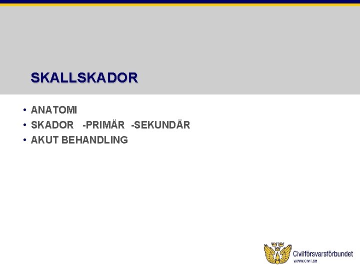 SKALLSKADOR • ANATOMI • SKADOR -PRIMÄR -SEKUNDÄR • AKUT BEHANDLING 