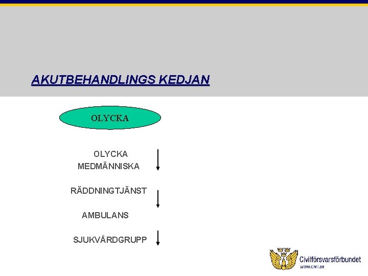 AKUTBEHANDLINGS KEDJAN OLYCKA MEDMÄNNISKA RÄDDNINGTJÄNST AMBULANS SJUKVÅRDGRUPP 