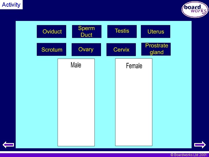 Activity © Boardworks Ltd 2001 