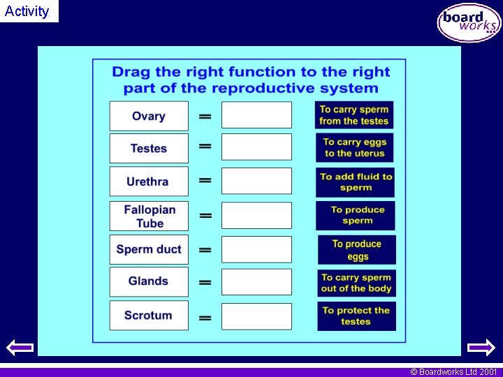 Activity © Boardworks Ltd 2001 