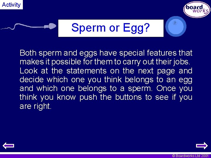 Activity Sperm or Egg? Both sperm and eggs have special features that makes it