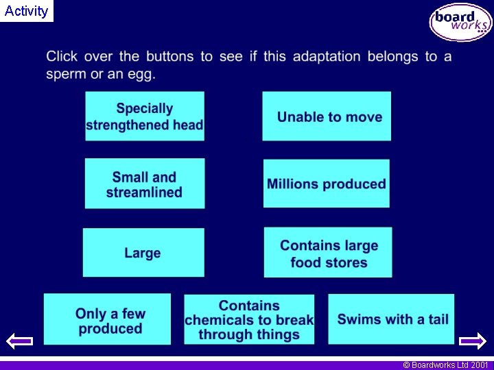 Activity © Boardworks Ltd 2001 