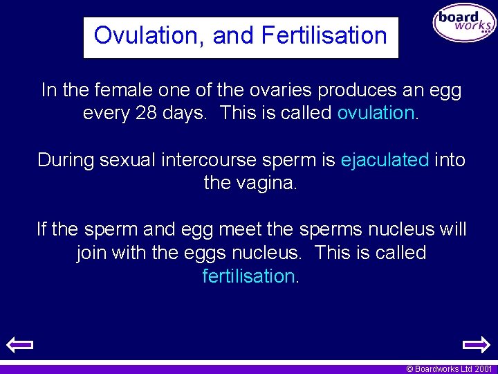 Ovulation, and Fertilisation In the female one of the ovaries produces an egg every
