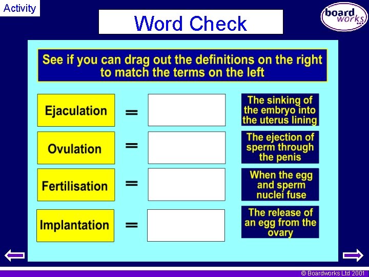 Activity Word Check © Boardworks Ltd 2001 