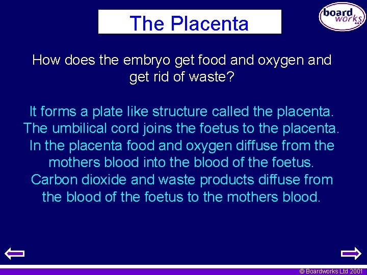 The Placenta How does the embryo get food and oxygen and get rid of