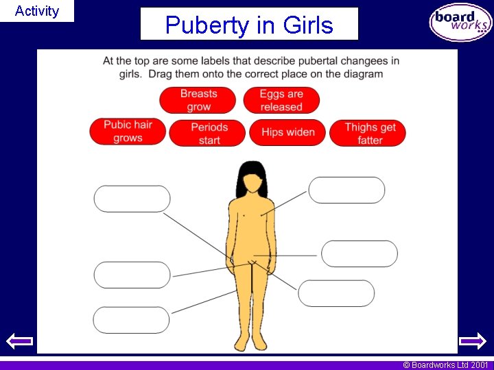 Activity Puberty in Girls © Boardworks Ltd 2001 