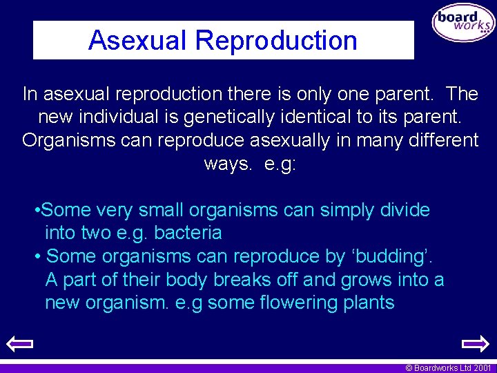 Asexual Reproduction In asexual reproduction there is only one parent. The new individual is