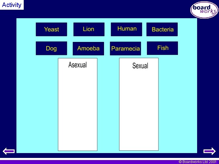 Activity © Boardworks Ltd 2001 