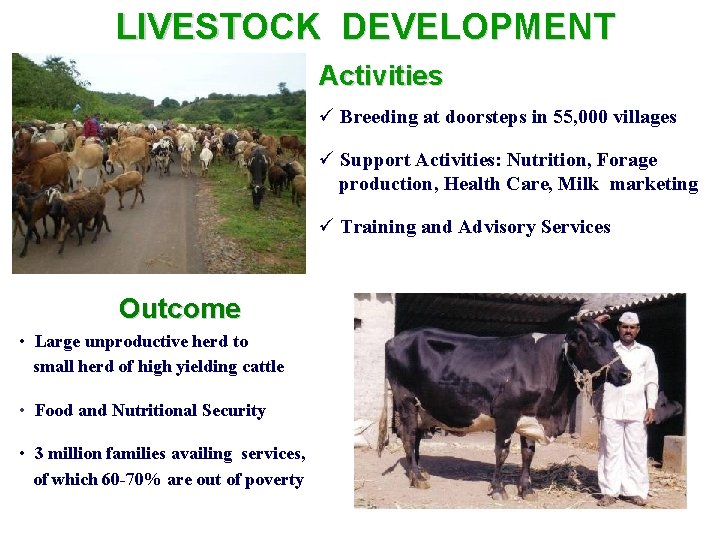 LIVESTOCK DEVELOPMENT Activities ü Breeding at doorsteps in 55, 000 villages ü Support Activities: