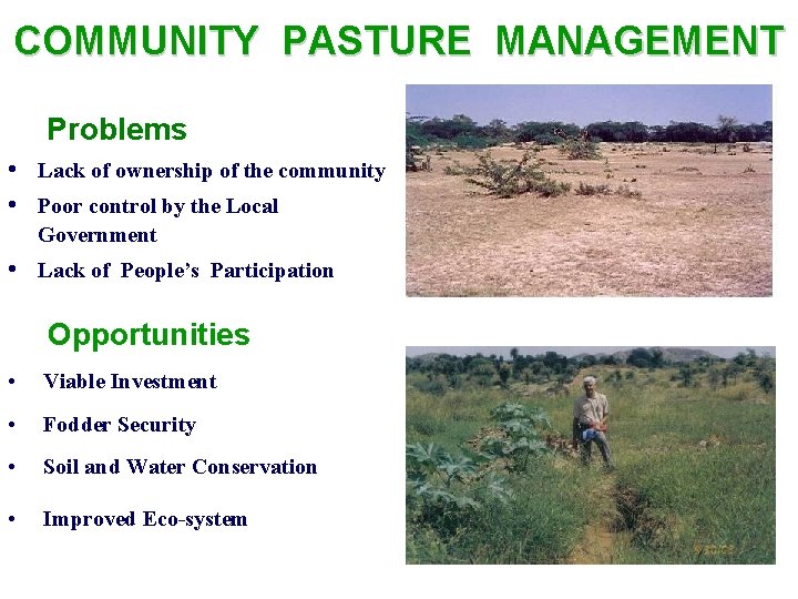 COMMUNITY PASTURE MANAGEMENT Problems • Lack of ownership of the community • Poor control