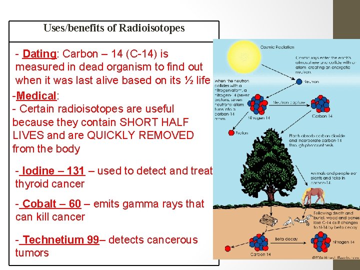 Uses/benefits of Radioisotopes - Dating: Carbon – 14 (C-14) is measured in dead organism