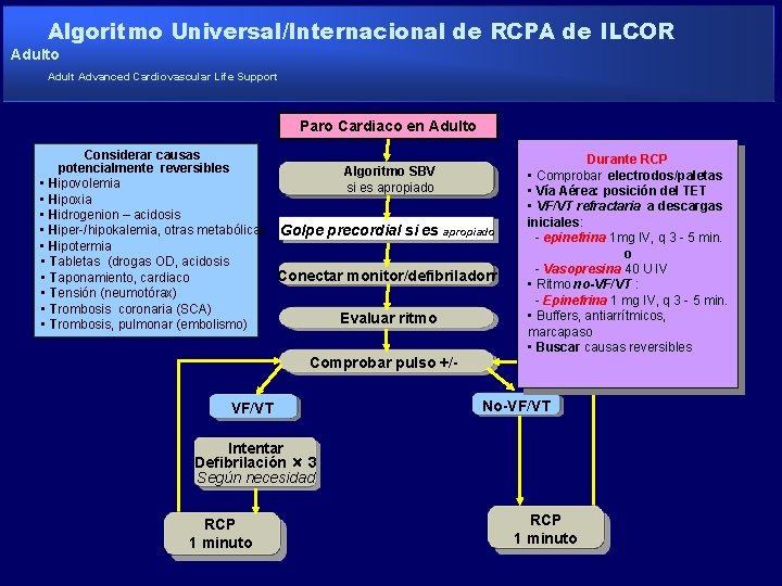 Algoritmo Universal/Internacional de RCPA de ILCOR Adulto Adult Advanced Cardiovascular Life Support Paro Cardiaco