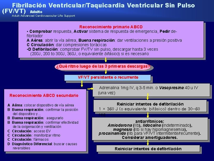 Fibrilación Ventricular/Taquicardia Ventricular Sin Pulso (FV/VT) Adulto Adult Advanced Cardiovascular Life Support Reconocimiento primario