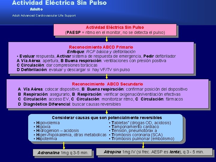 Actividad Eléctrica Sin Pulso Adult Advanced Cardiovascular Life Support Actividad Eléctrica Sin Pulso (PAESP