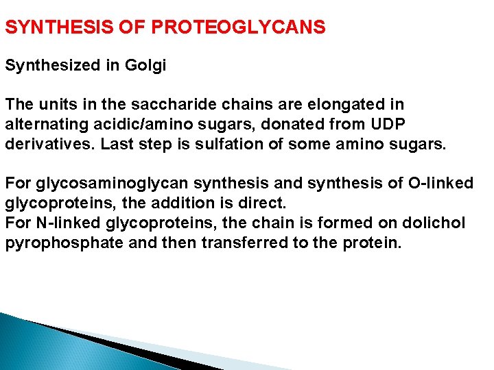 SYNTHESIS OF PROTEOGLYCANS Synthesized in Golgi The units in the saccharide chains are elongated
