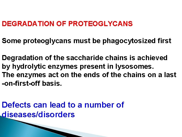 DEGRADATION OF PROTEOGLYCANS Some proteoglycans must be phagocytosized first Degradation of the saccharide chains