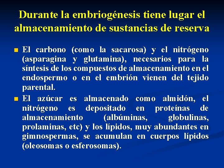 Durante la embriogénesis tiene lugar el almacenamiento de sustancias de reserva n n El