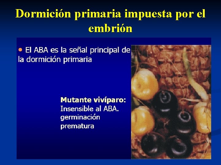 Dormición primaria impuesta por el embrión 