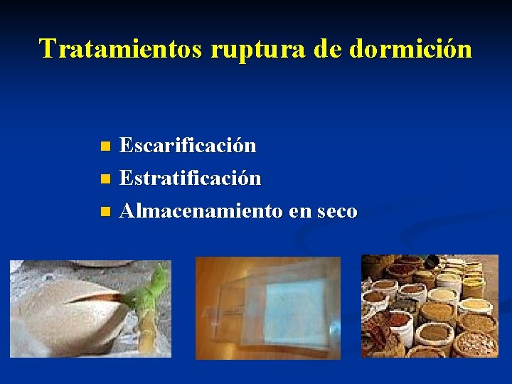 Tratamientos ruptura de dormición Escarificación n Estratificación n Almacenamiento en seco n 