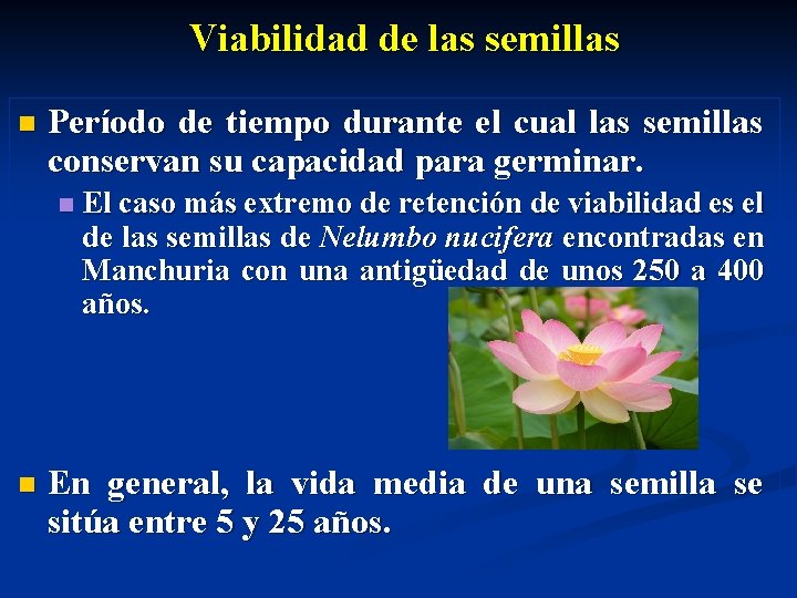 Viabilidad de las semillas n Período de tiempo durante el cual las semillas conservan