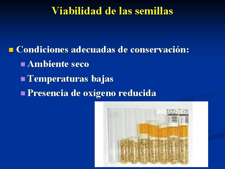 Viabilidad de las semillas n Condiciones adecuadas de conservación: n Ambiente seco n Temperaturas