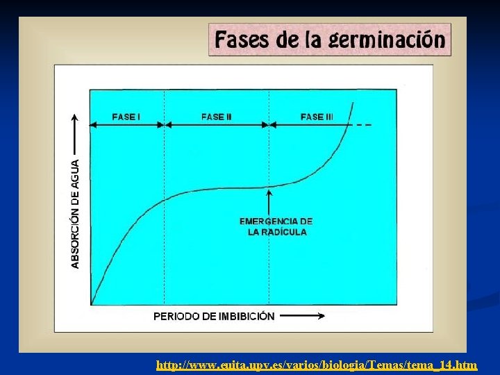 http: //www. euita. upv. es/varios/biologia/Temas/tema_14. htm 